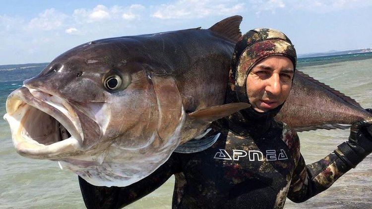 2 metre boyunda balık yakaladı