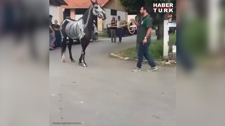 İskeletin nasıl hareket ettiği anlatmak için farklı bir yol denediler