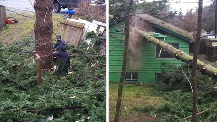 Ağaç, evin çatısına düştü