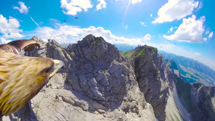 Kartalın gözünden Alp Dağlarını izleme keyfi