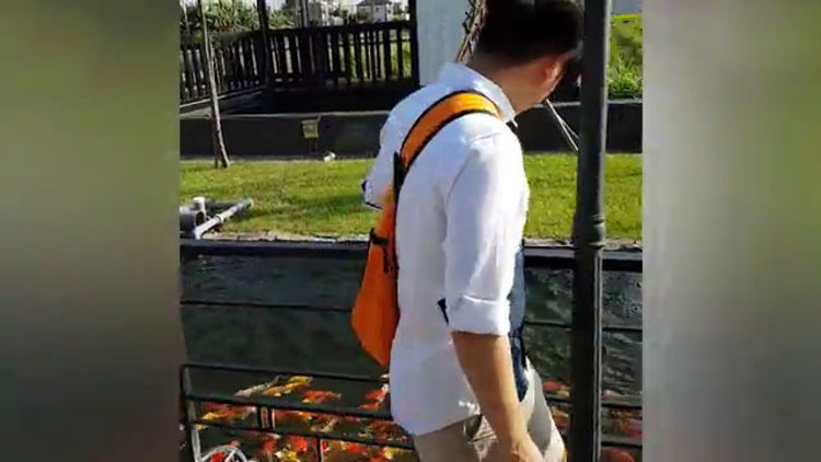 Balıkları besleyeyim derken...