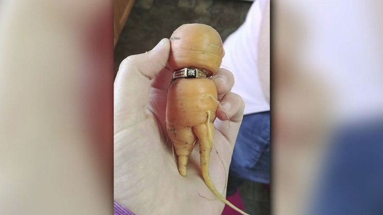 13 yıl sonra bulundu