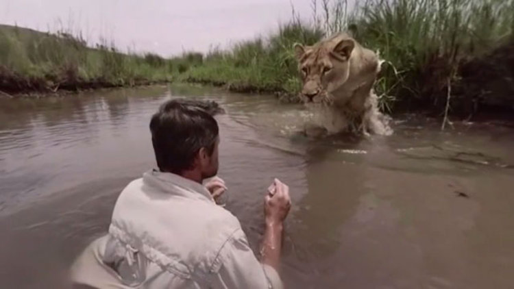 Aslan adamın üstüne atladı ve...