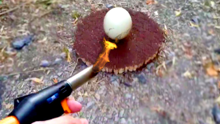 25.000 kibrit üzerine deve kuşu yumurtası bırakılırsa...