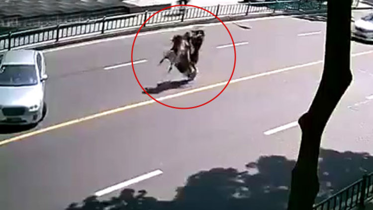 Kaza film sahnesini aratmadı