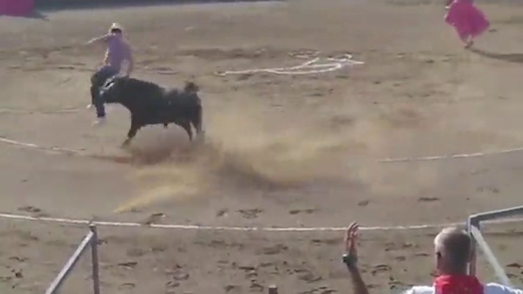 Boğa yanlış kişiye saldırdı