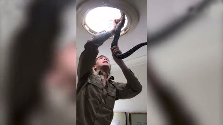 Banyo lambasından piton çıktı