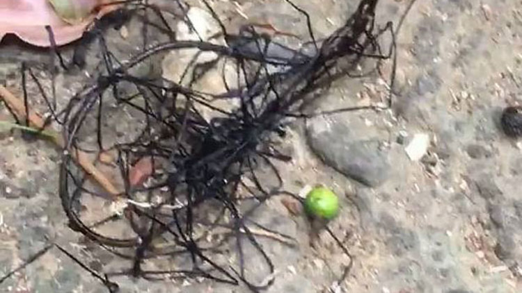Ne olduğunu kimse bilmiyor