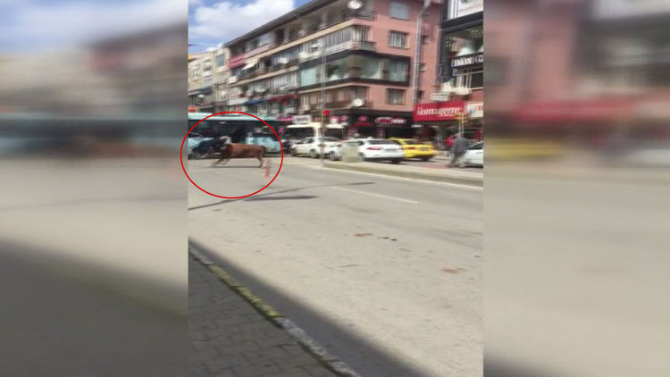 Boğanın kadına saldırı anı kamerada