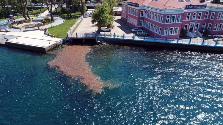 İstanbul Boğazı kana büründü