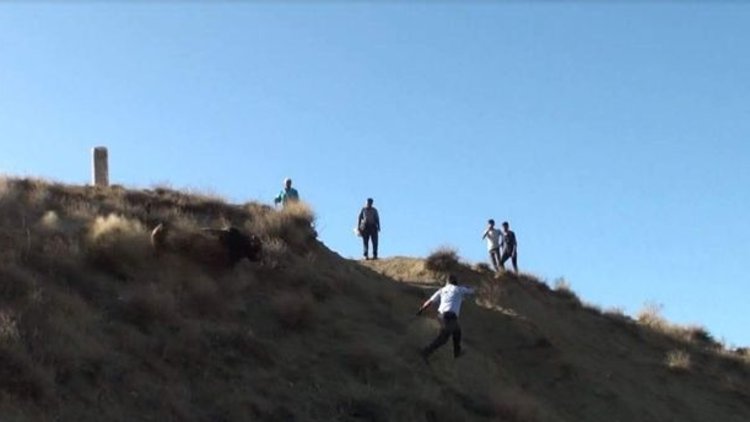 Zabıtayı uçurumdan yuvarladı