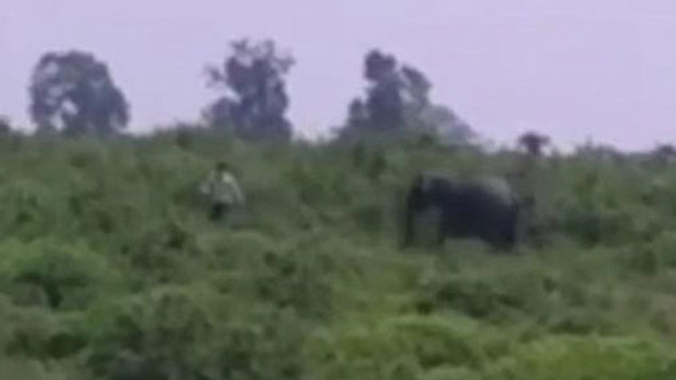 &#039;Fil ile selfie&#039; sonu oldu