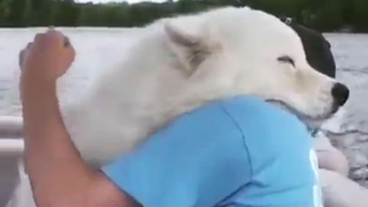 Hayvanların inanılmaz dostlukları