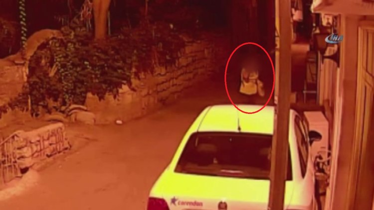 Yavru kedi kafası ve bacakları kesilmiş halde bulundu