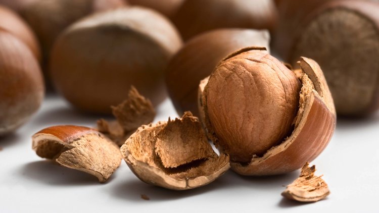 Fındık üreticisine müjde