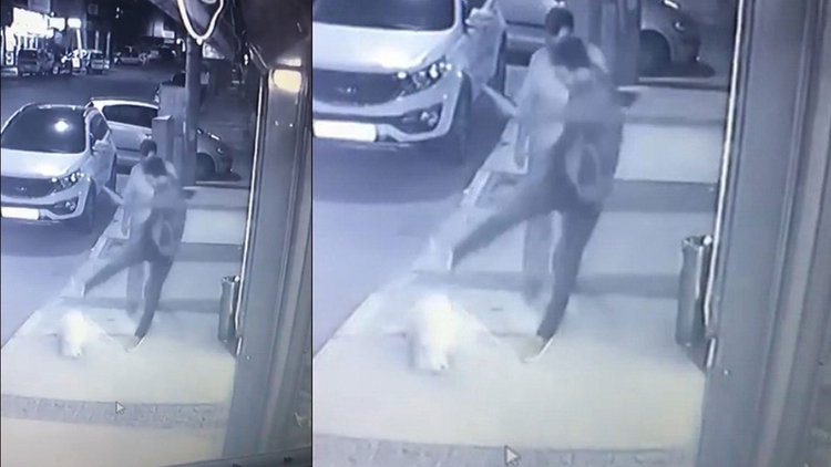 İzmir Aliağa'da kaldırımda yatan köpeğe tekme kamerada