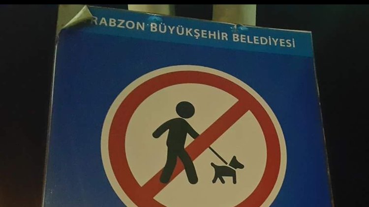 Trabzon'da tepki çeken levha