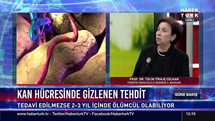 Kan Hücresinde Gizlenen Tehdit