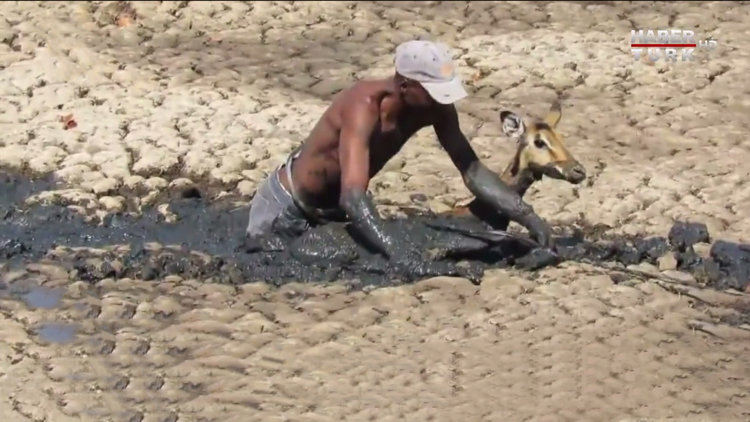 Dünyada iyi insanlar da var