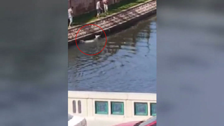 İnsanlık ölmemiş