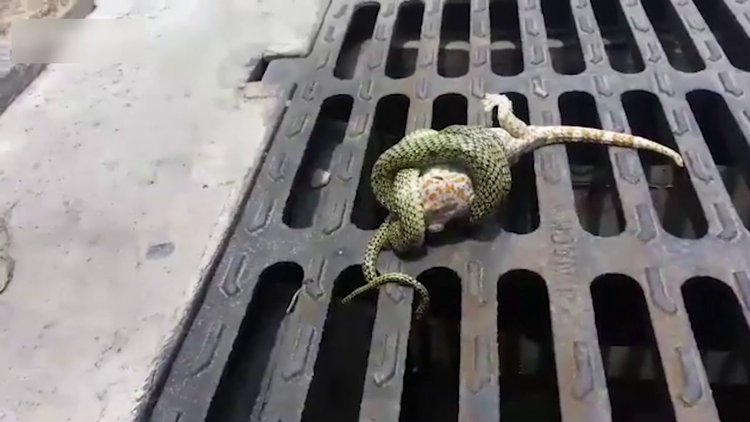 Böyle kaçış görülmedi!