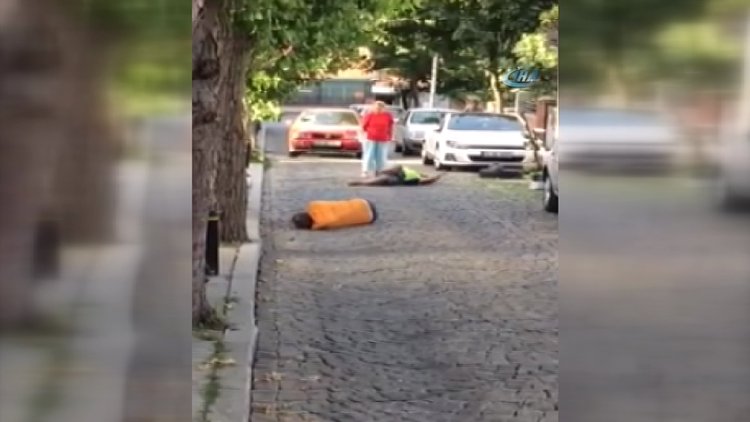 İstanbul'un göbeğinde yürek burkan bonzai krizleri kamerada