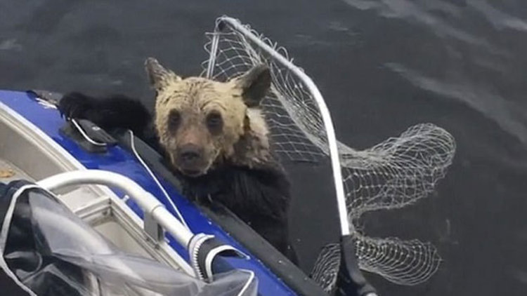 Boğulmak üzereyken kurtarıldılar