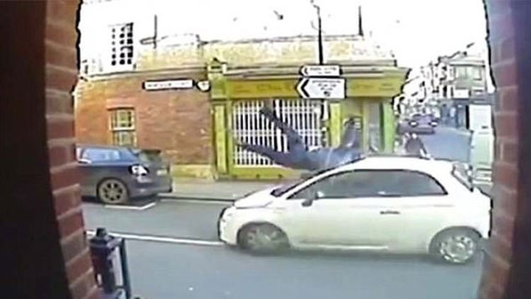 Metrelerce yükseğe savruldu