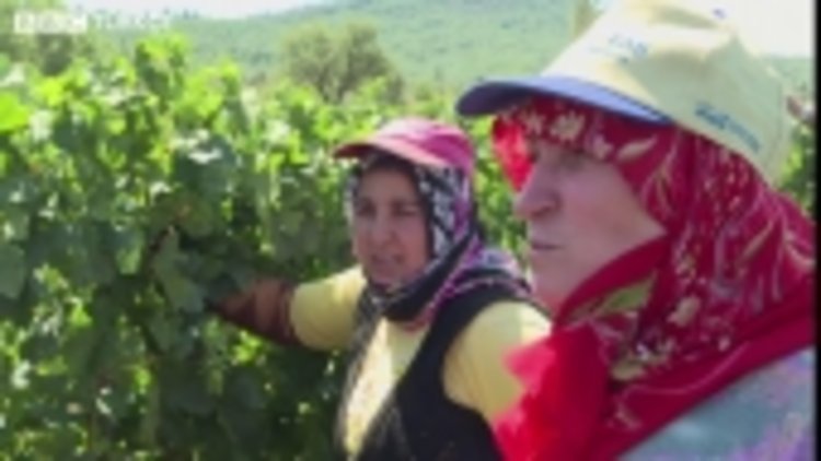'Üzümü yiyoruz ama şarap hiç içmedik'