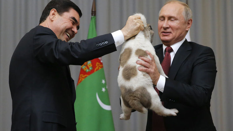 Türkmenistan lideri, Putin'e köpek hediye etti