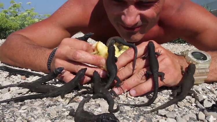 Kertenkelelere eliyle elma yedirdi