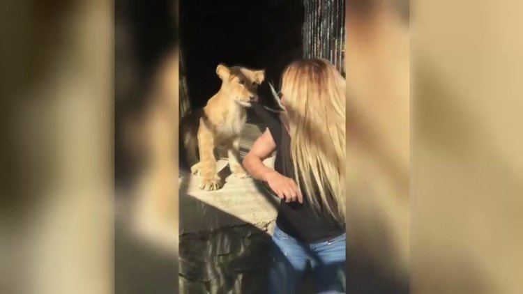 Nagihan Karadere'nin panik anları