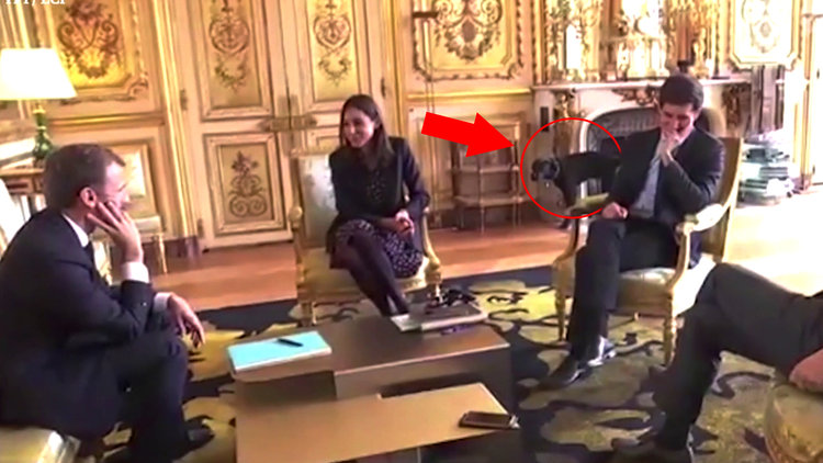 Macron'un köpeği toplantı sırasında çişini yaptı!