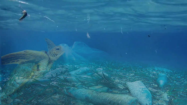 Denizlerdeki plastik atık tehlikesi