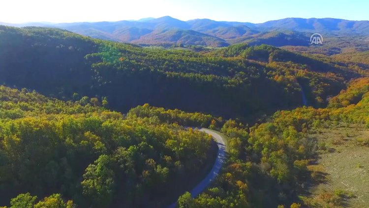 Istranca Ormanlarında sonbahar