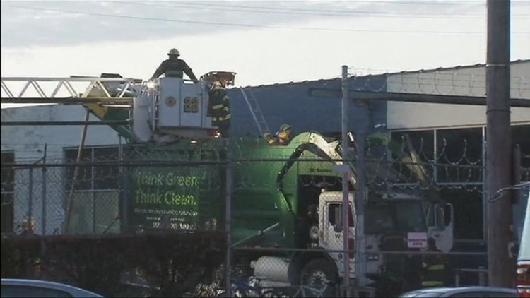 Çöpten kurtardılar