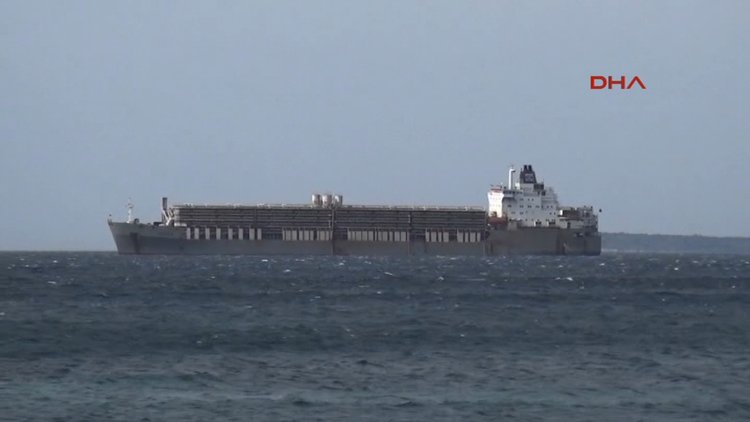 Hayvan yüklü gemi güvenli bölgeye demirletildi