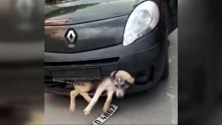 Aracın tamponuna sıkıştı