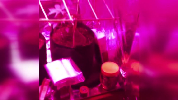 Yatak odasına giren polis şaşkına döndü