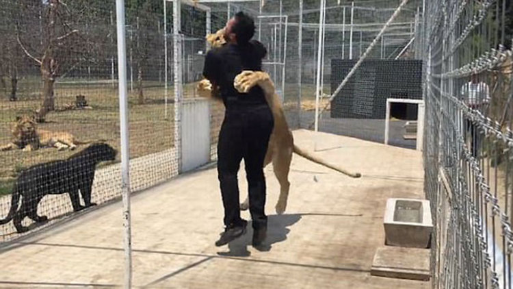 Eski sahibine böyle sevgi gösterdi