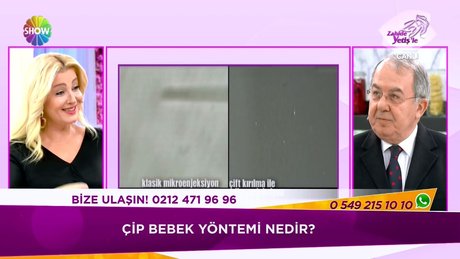 Cip Bebek Nedir