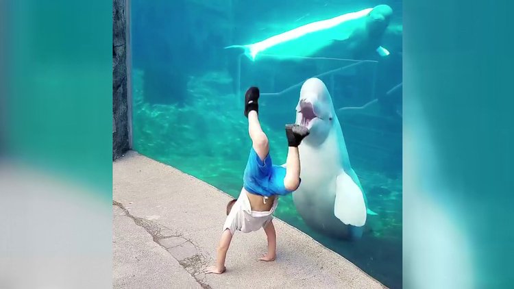 Çocukların akvaryum maceraları!