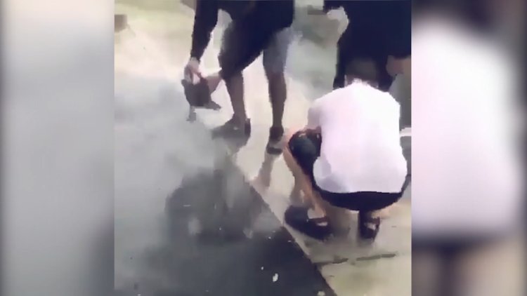 Kasırganın ortasında kalan ördek yavrularını kurtaran yürekli insanlar