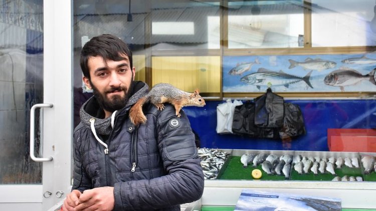 Balıkçı ile sincapların dostluğu