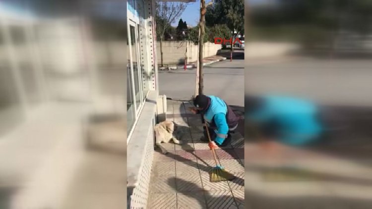Temizlik işçisinin sokak köpeğine şarkı söylemesi çok izlenenler arasına girdi!