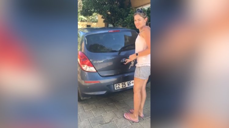 Bagajdan fırlayan minik köpekler