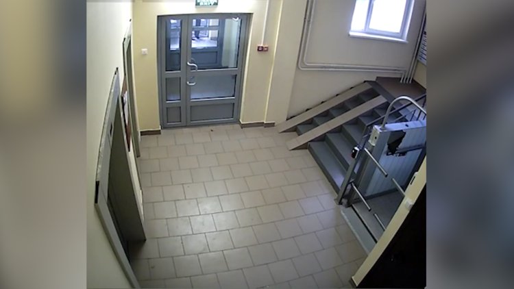 Leoparını gezmeye çıkaran adam