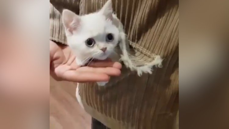 Yeni yılın en güzel hediyesi