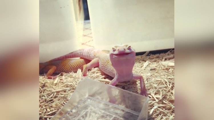 Su içmenin verdiği mutluluk