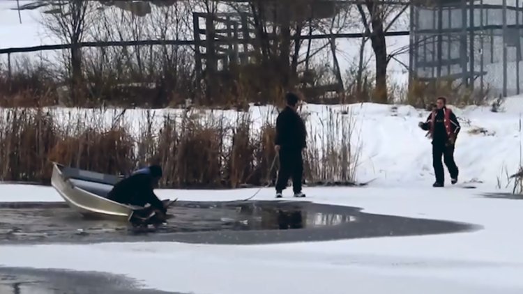 Donmuş göle düşen geyiği kurtarma çalışmaları